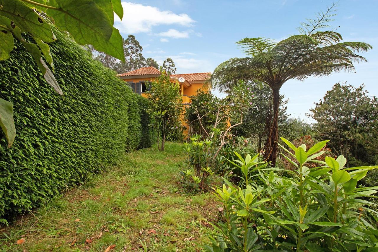 Casa Catarina Villa Santo Antonio da Serra ภายนอก รูปภาพ